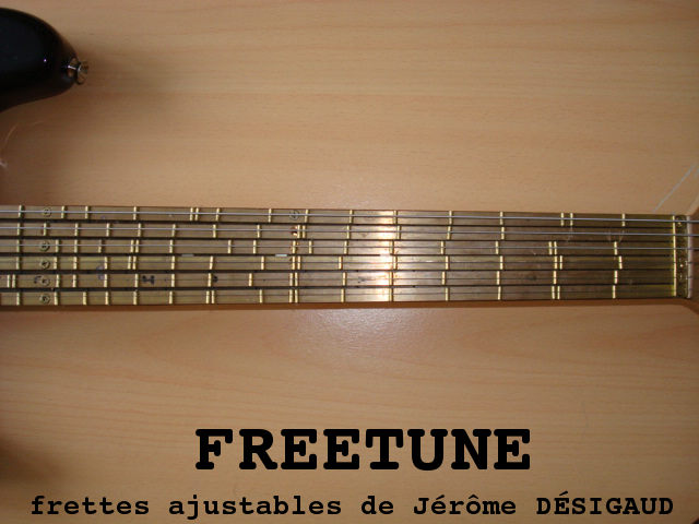 FREETUNE � frettes ajustables de J�r�me D�SIGAUD (guitare �lectrique)