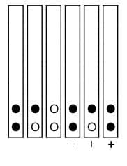 doigtés de la gamme pentatonique